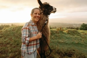 Maui: Sunset Llama Trek on Haleakala