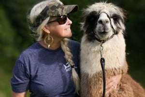 Maui: Sunset Llama Trek on Haleakala