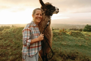 Maui: trekking con i lama al tramonto sull'Haleakalā