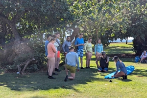 Maui: Lezione di surf per tutti; puro divertimento!