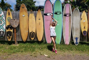 ماوي: جولة المغامرة المطلقة من الطريق إلى هانا بالمقلاع