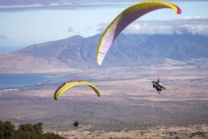 Maui: Top Gun Paragliding Tandem Flight