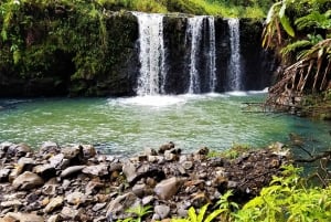 Excursión ecológica por la selva tropical de Maui con almuerzo