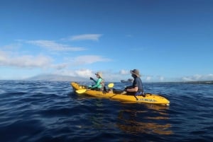 Maui: Turtle Town Kajakki- ja snorkkeliretki