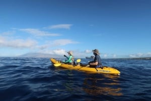 Maui: Turtle Town Kayak and Snorkel Tour