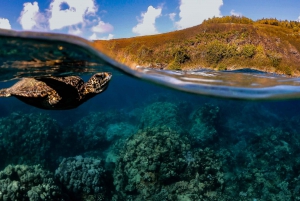 Maui: Turtle Town Sunset Glow Snorkel With Optional Photo