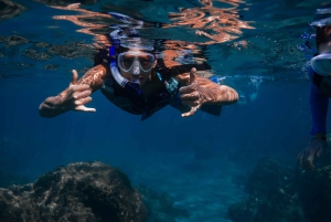 Maui: Turtle Town Sunset Glow Schnorcheln mit optionalem Foto