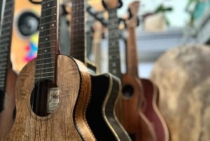 Maui: Ukulele musiklektion för nybörjare