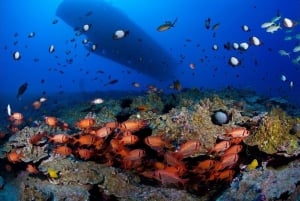 Maui: Underwater Submarine Adventure