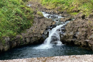 Maui: Van Tagestour nach Hana mit ortskundigem Guide und Mittagessen