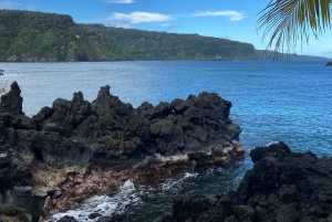 Maui: Van Tagestour nach Hana mit ortskundigem Guide und Mittagessen