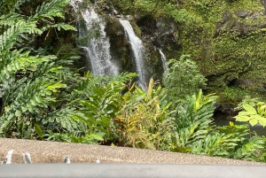 Maui: Van Tagestour nach Hana mit ortskundigem Guide und Mittagessen