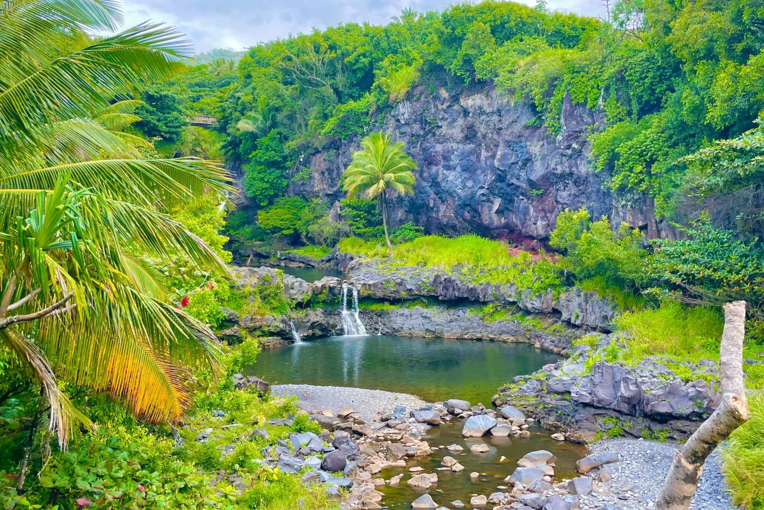 Maui: VIP Road to Hana privat tur i cabriolet-SUV