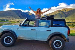Maui: VIP Road to Hana privat tur i cabriolet-SUV