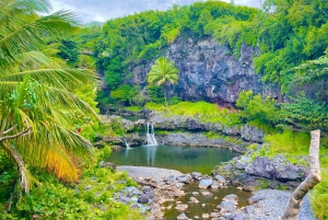 Maui: VIP Road to Hana privat tur i cabriolet-SUV