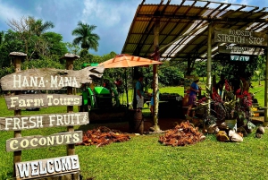 Maui: VIP Road to Hana privat tur i cabriolet-SUV