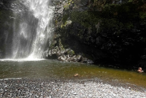 Maui: VIP Road to Hana privat tur i cabriolet-SUV