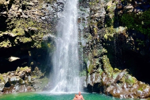 Maui: VIP Road to Hana privat tur i cabriolet-SUV