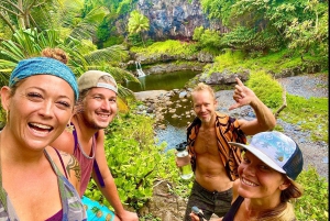 Maui: VIP Road to Hana privat tur i cabriolet-SUV