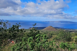 Maui: VIP Road to Hana privat tur i cabriolet-SUV