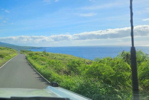 Maui: VIP Road to Hana privat tur i cabriolet-SUV