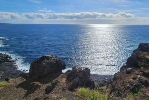 Maui: VIP Road to Hana privat tur i cabriolet-SUV