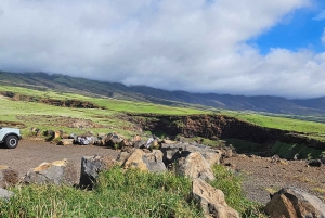Maui: VIP Road to Hana privat tur i cabriolet-SUV