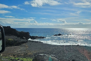 Maui: VIP Road to Hana privat tur i cabriolet-SUV