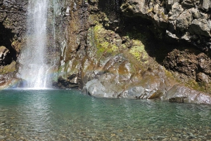 Maui: VIP Road to Hana privat tur i cabriolet-SUV