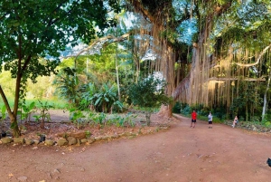 Maui: VIP Road to Hana privat tur i cabriolet-SUV