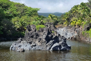 Maui: VIP Road to Hana privat tur i cabriolet-SUV