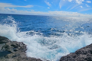 Maui: VIP Road to Hana privat tur i cabriolet-SUV