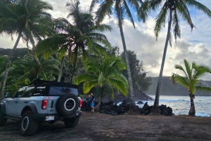 Maui: VIP Road to Hana privat tur i cabriolet-SUV