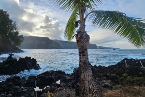 Maui: VIP Road to Hana privat tur i cabriolet-SUV