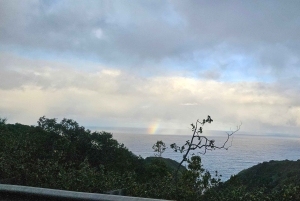 Maui: VIP Road to Hana privat tur i cabriolet-SUV