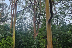 Maui: VIP Road to Hana privat tur i cabriolet-SUV