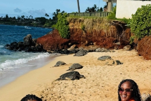 Maui: VIP Road to Hana privat tur i cabriolet-SUV