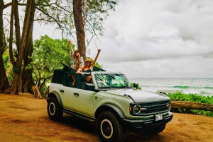 Maui: VIP Road to Hana privat tur i cabriolet-SUV