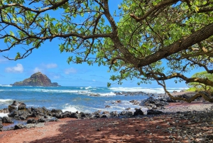 Maui: VIP Road to Hana privat tur i cabriolet-SUV