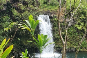 Maui: VIP Road to Hana privat tur i cabriolet-SUV