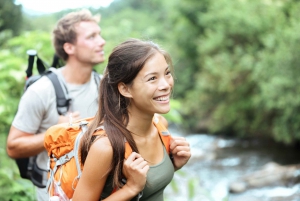 Maui: Waterfall & Rainforest Hiking Tour with Picnic Lunch