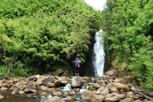 Maui: Wanderung zu den Regenwald-Wasserfällen mit Picknick-Mittagessen