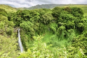 Maui: Vaellus sademetsän vesiputouksille piknik-lounaalla
