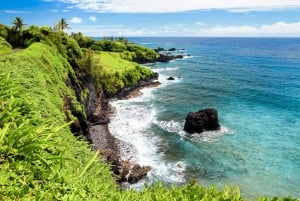 Maui: Vandring till regnskogens vattenfall med picknicklunch