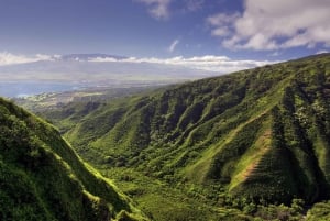 Maui: Länsi-Mauin vesiputoukset ja Molokain helikopterikierros