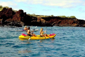 Maui: Waterfalls Tour with Kayaking, Snorkeling and Hiking