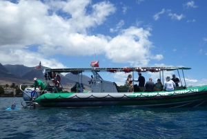 Maui: Snorkelbådtur på vestkysten m/morgenmad og frokost