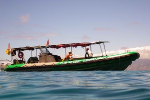 Maui: Snorkelbådtur på vestkysten m/morgenmad og frokost
