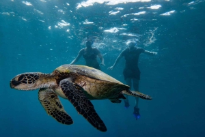 Maui: Snorkelbådtur på vestkysten m/morgenmad og frokost