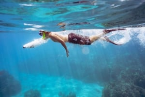 Maalaea: Passeio de um dia para mergulho com snorkel e navegação em West Maui com almoço